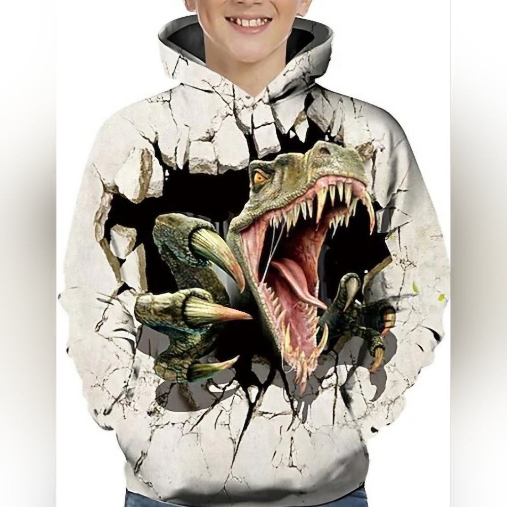 Dinosaur Graphic Hoodie